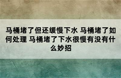 马桶堵了但还缓慢下水 马桶堵了如何处理 马桶堵了下水很慢有没有什么妙招